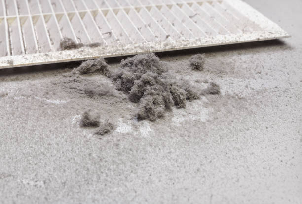 Best Commercial Air Duct Cleaning  in Waupun, WI